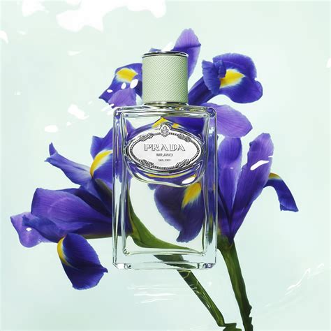 prada iris|prada iris perfume review.